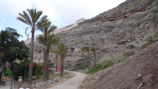 2022-03-GranCan-Las_Palmas-Santa_Ana--Doramas-PM-NN-068.JPG